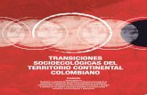 TRANSICIONES SOCIOECOLÓGICAS DEL TERRITORIO …