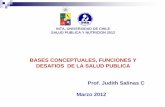 BASES CONCEPTUALES, FUNCIONES Y DESAFIOS DE LA SALUD ...