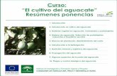 Curso: “El cultivo del aguacate” Resúmenes ponencias
