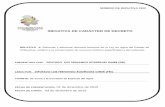 INICIATIVA DE CARÁCTER DE DECRETO - Documento sin título