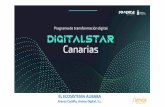 Aranza Castillo, Amvos Digital, S.L.
