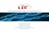 INHIBIDORES DE LA CASPASA 8 - idus.us.es