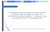 Caracterización agrocultural del cultivo de amapola y de ...
