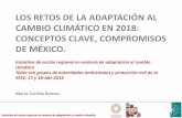 LOS RETOS DE LA ADAPTACIÓN AL CAMBIO CLIMÁTICO EN …