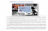 Antártida una pasión entrañable - MARAMBIO