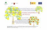 Situación actual y medidas adoptadas en la Región de Murcia