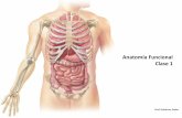 Anatomía Funcional Clase 1