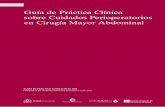 Guía de Práctica Clínica sobre Cuidados Perioperatorios en ...