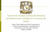 Carne de madera (Woody Breast) problema de calidad en la ...