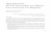 Apropiación de los mercados en África. Los recursos en disputa