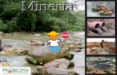 Minería - Probioma