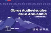 Obras Audiovisuales de La Araucanía