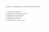 LECCIÓN 7. FUNDAMENTOS DEL METABOLISMO MICROBIANO 1 ...