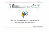 Bases de economía ambiental y valoración económica