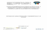 ESTUDIO DE CARACTERIZACIÓN Y DIAGNÓSTICO N° 36
