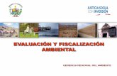 EVALUACIÓN Y FISCALIZACIÓN AMBIENTAL - Sistema Local de ...