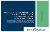 REPORTE SOBRE LA SOLVENCIA Y CONDICIÓN FINANCIERA ...