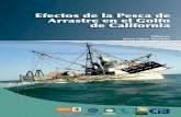 Efectos de la Pesca de Editores Juana López Martínez ...
