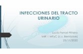 INFECCIONES DEL TRACTO URINARIO - WordPress.com