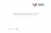 DIAGNOSTICO INTEGRAL DE LOS POLÍGONOS DEL MUNICIPIO