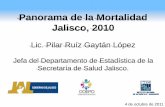 Panorama de la Mortalidad Jalisco, 2010