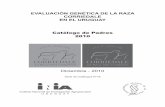 EVALUACIÓN GENÉTICA DE LA RAZA CORRIEDALE EN EL URUGUAY
