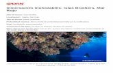 Inmersiones inolvidables: Islas Brothers. Mar Rojo