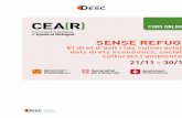 Informe curs CCAR - Observatori DESC