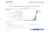 Boletín técnico Encuesta Mensual de Servicios (EMS) enero 2021