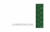 CAPITULO VII - UNAC