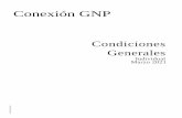 Conexión GNP