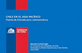 CHILE EN EL ASIA PACÍFICO - enlinea.santotomas.cl