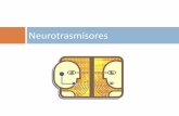 Neurotrasmisores - UNIDAD DIDÁCTICA BIOQUÍMICA