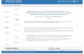 Biosíntesis de polisacáridos en Rhizobiaceae y su relación ...