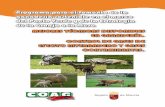 Programa para el fomento de la ganadería sostenible en el ...