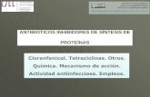 ANTIBIOTICOS INHIBIDORES DE SÍNTESIS DE PROTEÍNAS