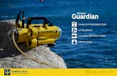 Guardian Mini-ROV
