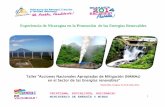 Experiencia de Nicaragua en la Promoción de las Energías ...