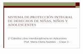 SISTEMA DE PROTECCIÓN INTEGRAL DE DERECHOS DE NIÑAS, …