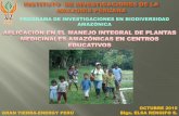 PROGRAMA DE INVESTIGACIONES EN BIODIVERSIDAD AMAZÓNICA