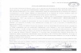 Expediente TRE SOF N° 0002323/2017 MINICARGALIOR Y