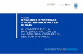 Reporte GRANDES EMPRESAS Y SOSTENIBILIDAD EN CHILE