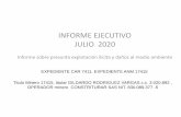 INFORME EJECUTIVO JULIO 2020