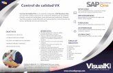 Control de Calidad VK ACT - Partner Gold de SAP