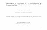 Sedimentología y Estratigrafía de las manifestaciones de ...