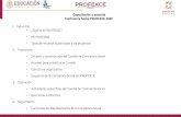 Capacitación y asesoría Contraloría Social PROFEXCE 2020