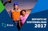 REPORTE DE SOSTENIBILIDAD 2017 - distriluz.com.pe