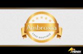 Amborxia Casa Boutique - Fenix Construcciones
