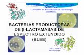 BACTERIAS PRODUCTORAS DE β-LACTAMASAS DE ESPECTRO ...