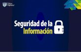 Seguridad de la Información - Folios Digitales Premium
